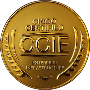 Enterprise Golden Icon